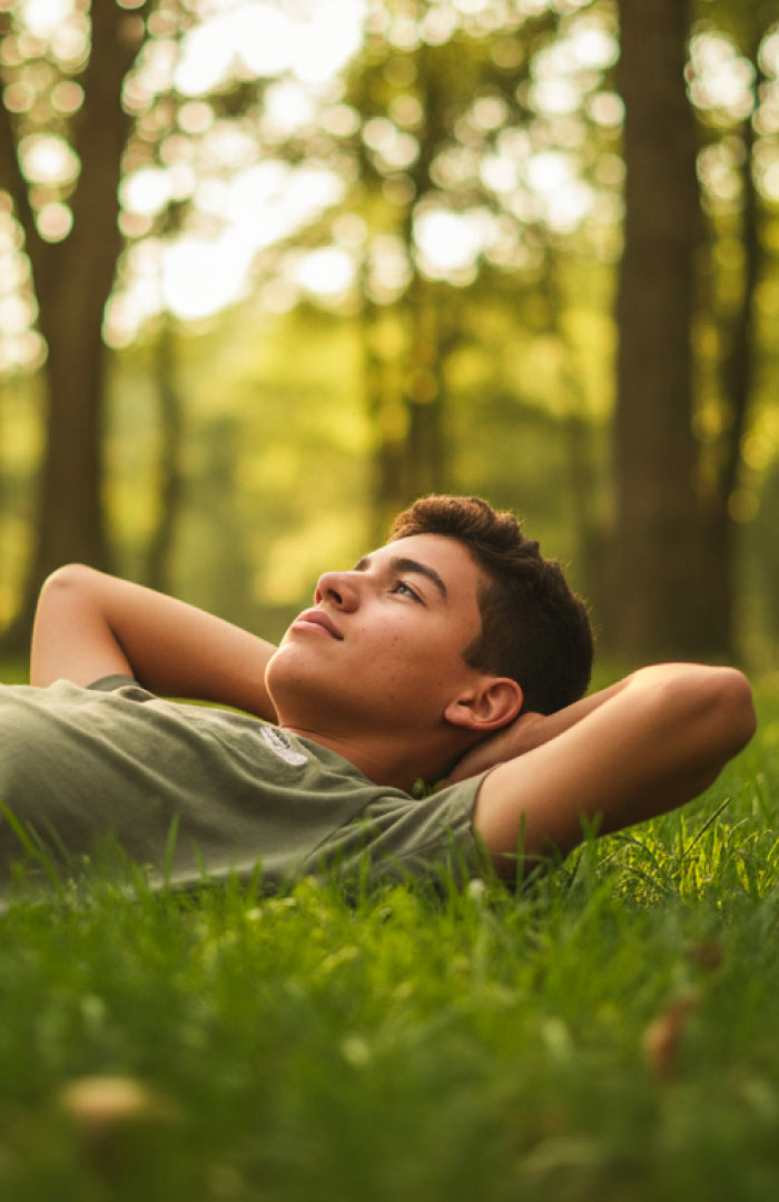 Vista previa estática